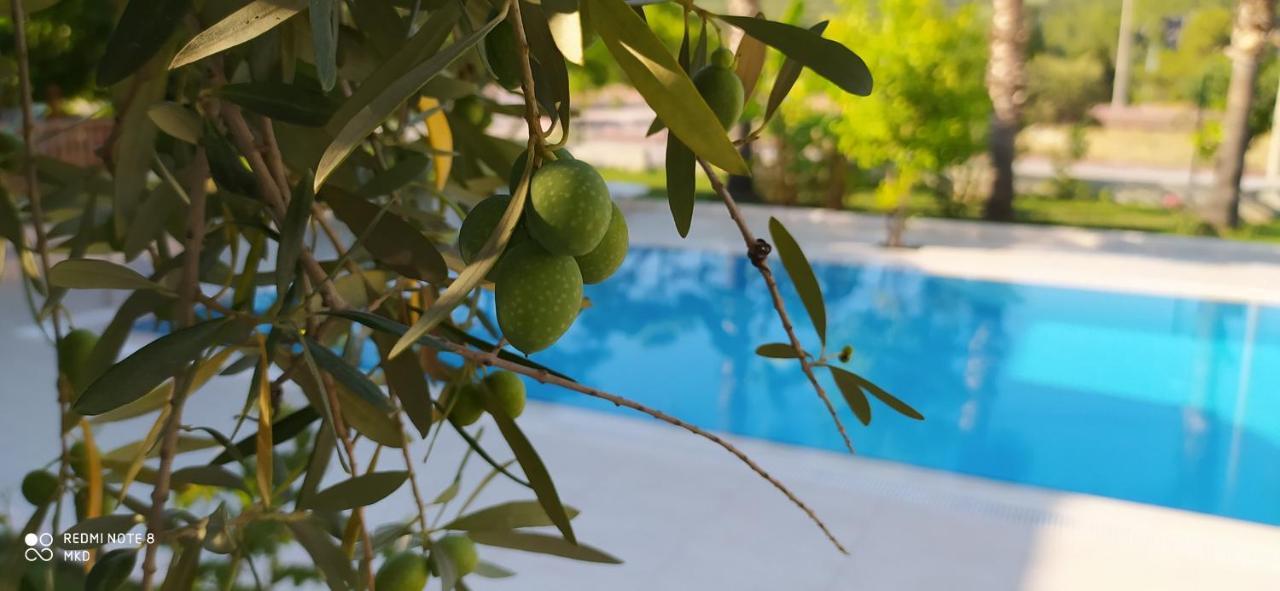 Green Garden Otel Кемер Екстер'єр фото